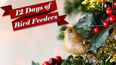 12 Days of Bird Feeders