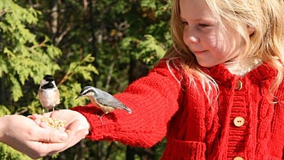 Birding With Kids