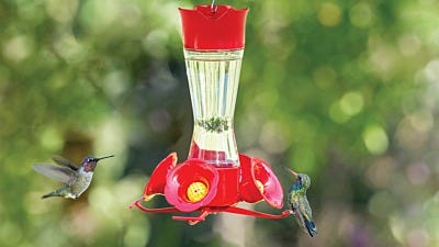 Perky-Pet Red Antique Bottle Hummingbird Feeder | Perky-Pet Bird 