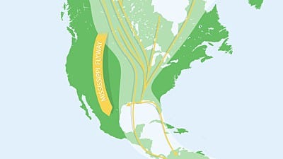 Bird Migration: Birds of the Mississippi Flyway