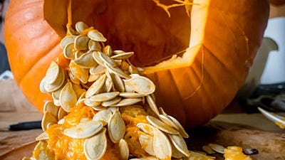 Roast Pumpkin Seeds for Your Bird Feeders