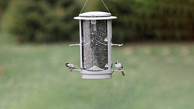 How to Clean Your Bird Feeders