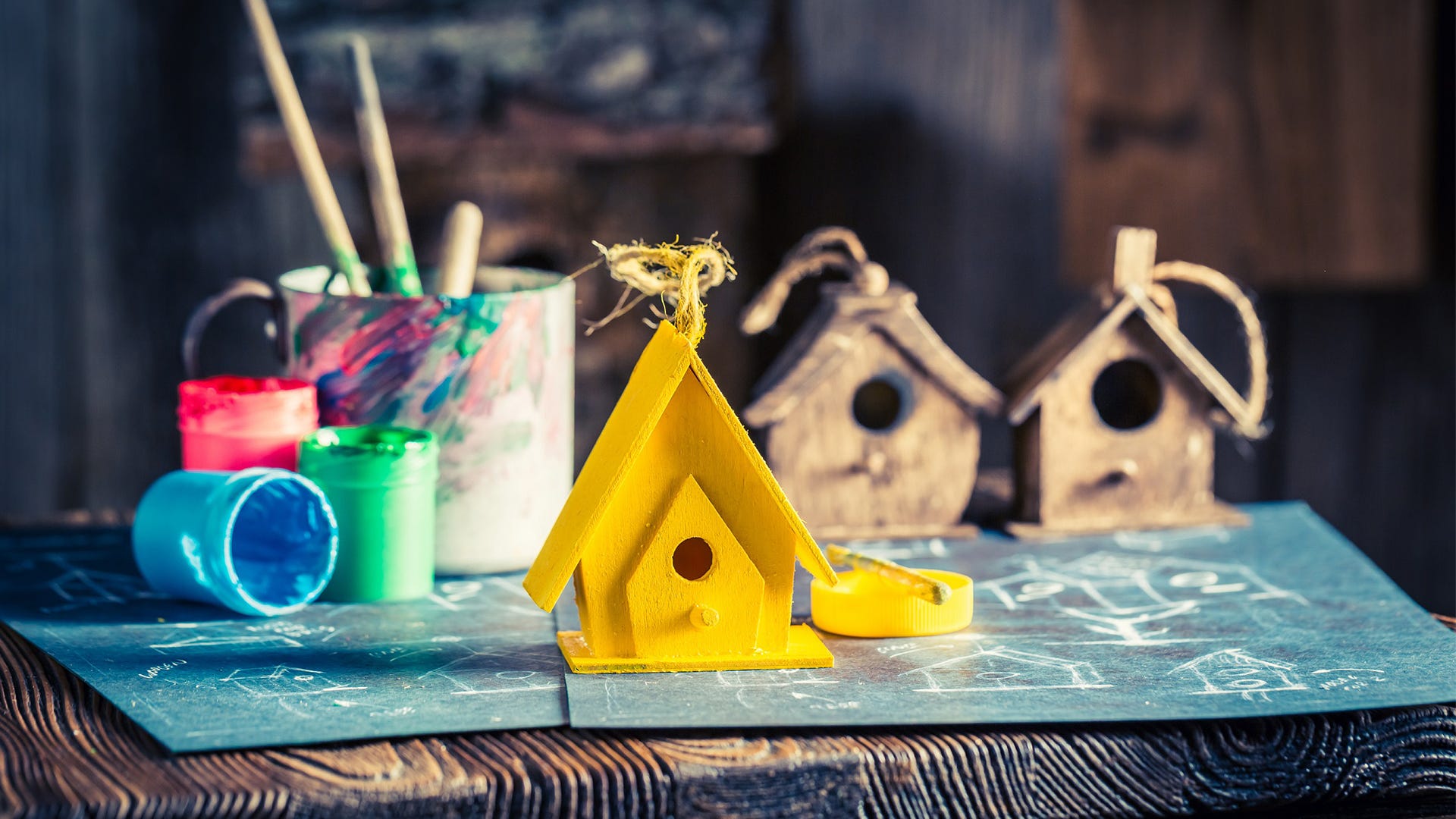 10 Creative Ways to Celebrate National Bird Feeding Month 10 Creative Ways to Celebrate National Bird Feeding Month