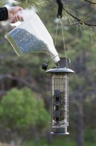 Filling a feeder with seed