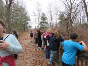 start a birding club wetlands