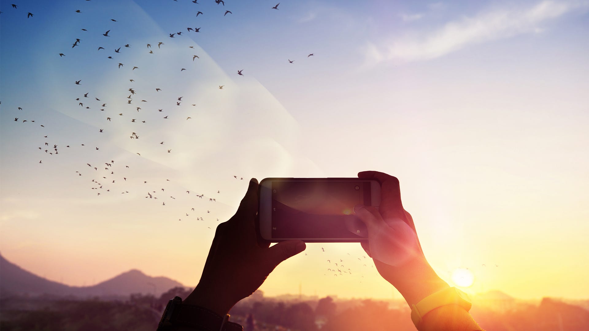 5 Tips for Taking Better Pictures of Birds with a Smartphone