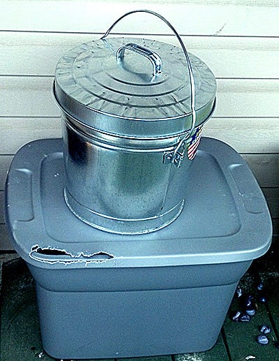 Bird discount seed storage