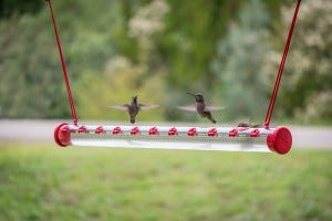 hummerbar hummingbird feeder