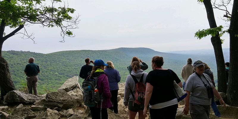 The early part of Hawk Mountain’s PA Songbirds class includes a hike for viewing its famous migratory corridor.