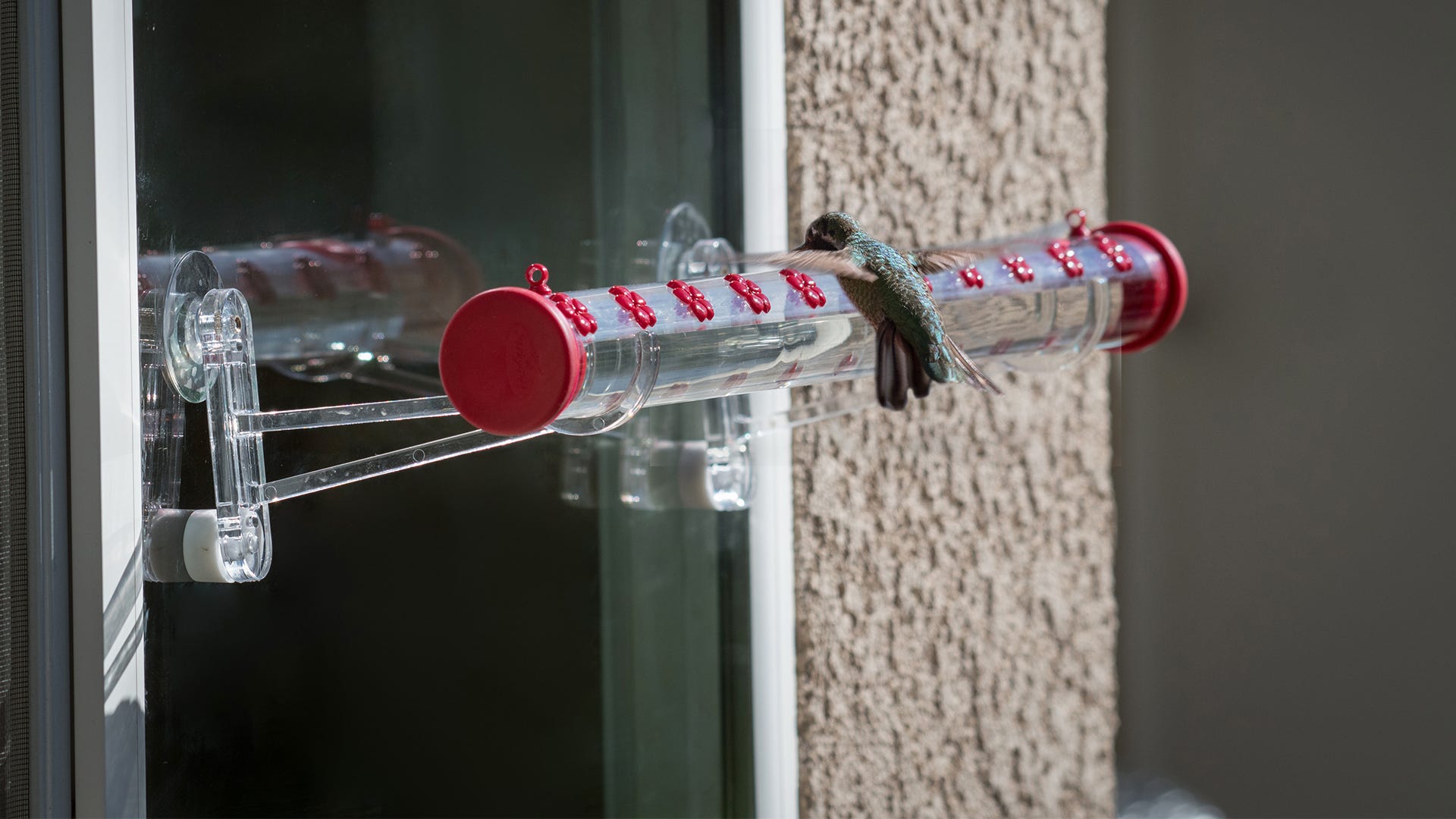 How the Hummerbar® Found A Home at Perky-Pet® How the Hummerbar® Found A Home at Perky-Pet®