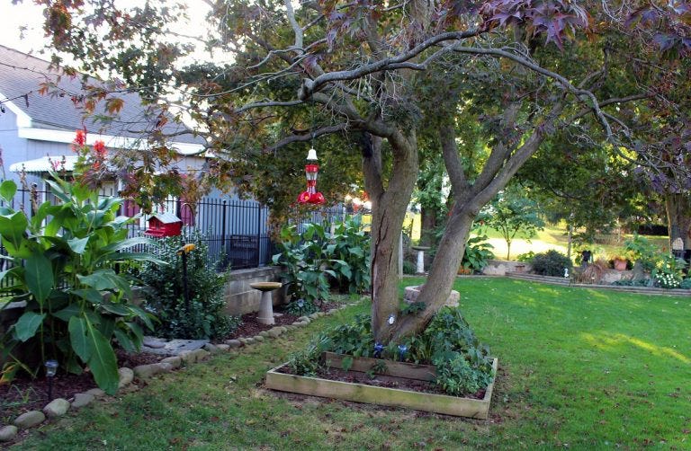 Doug and Terri Elvey’s backyard is a bird-feeding haven offering multiple feeders, bird baths, sheltering plants and trees, a pond and plenty of colorful flowers.