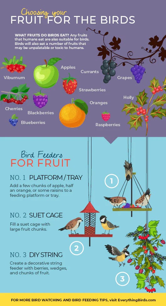 Bird Friendly Fruits And The Birds That Eat Them bird-friendly-fruits-and-the-birds-that-eat-them