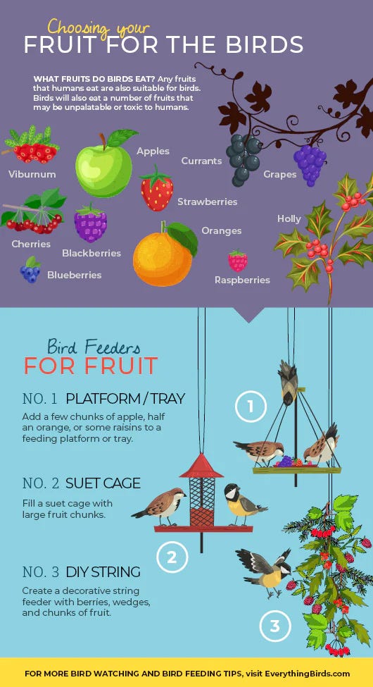 Choosing Your Fruit for the Birds