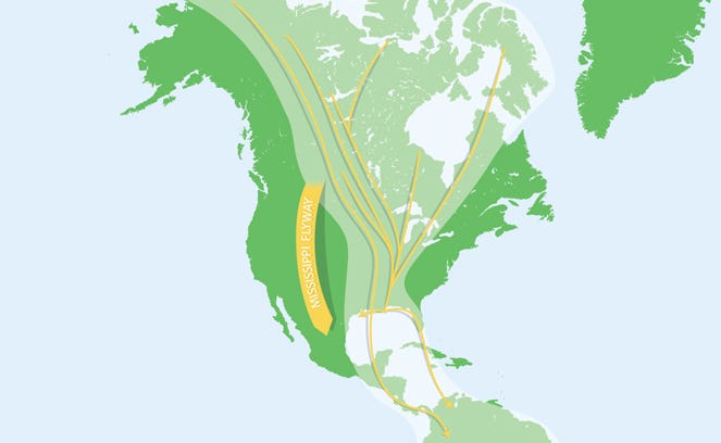 Canada goose migration flyways sale