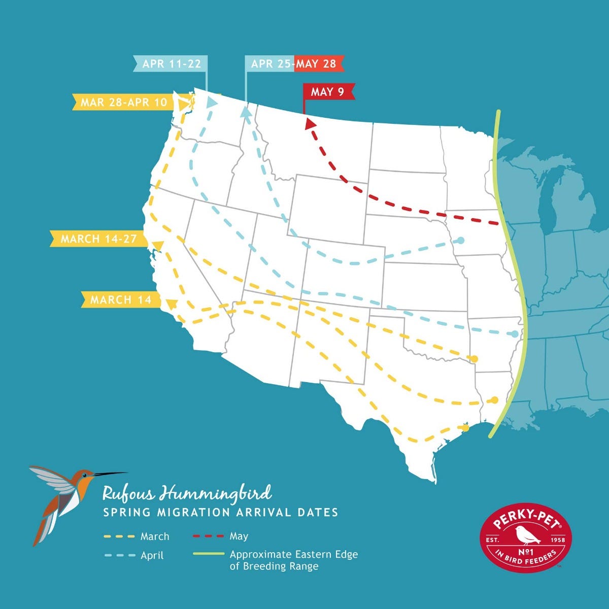 rufous hummingbird migration map