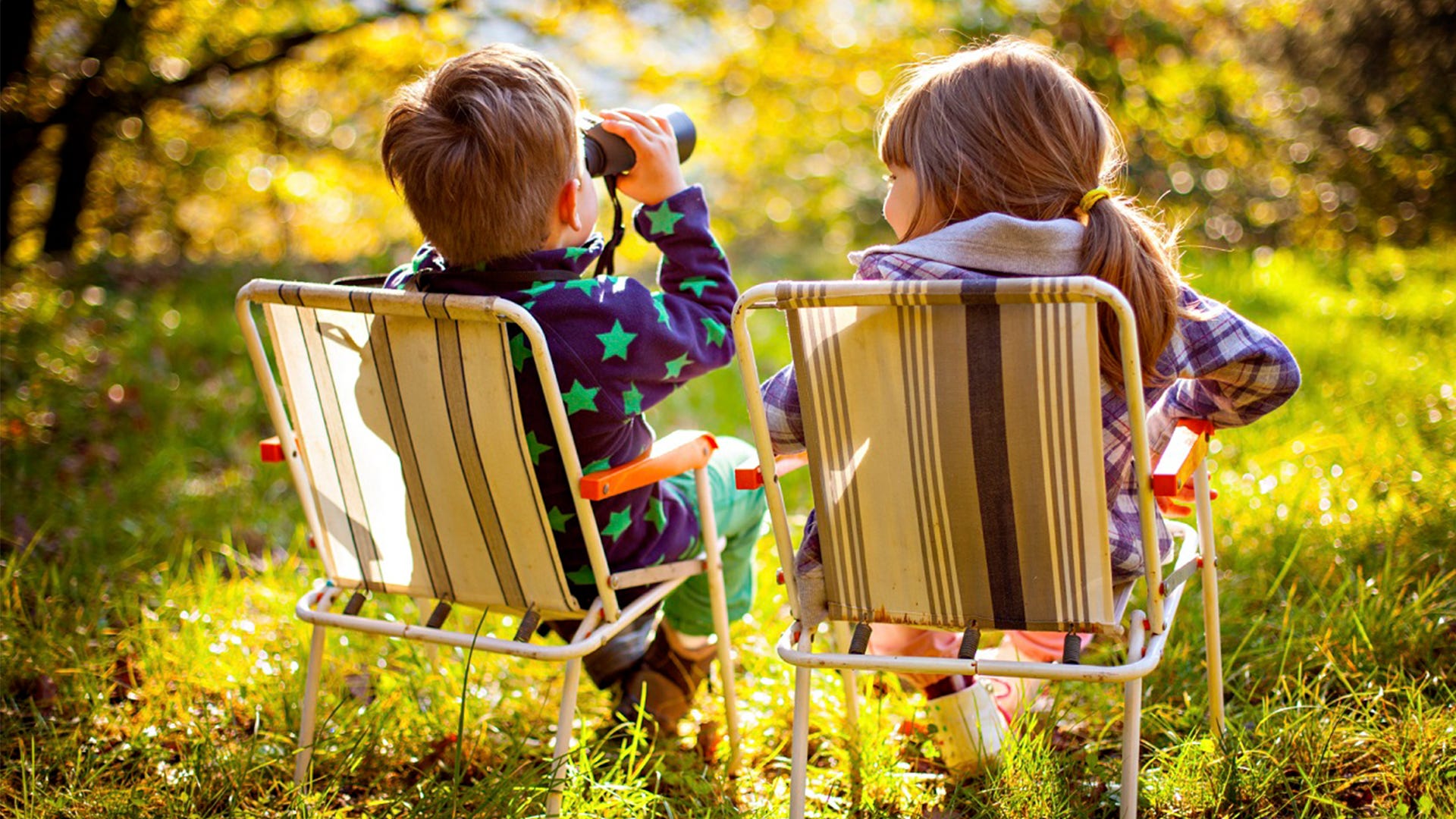 The Life of a Bird Lover: 5 Stages to Becoming A Citizen Scientist The Life of a Bird Lover: 5 Stages to Becoming A Citizen Scientist
