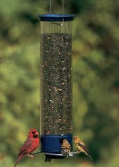 Three birds feeding at a seed feeder