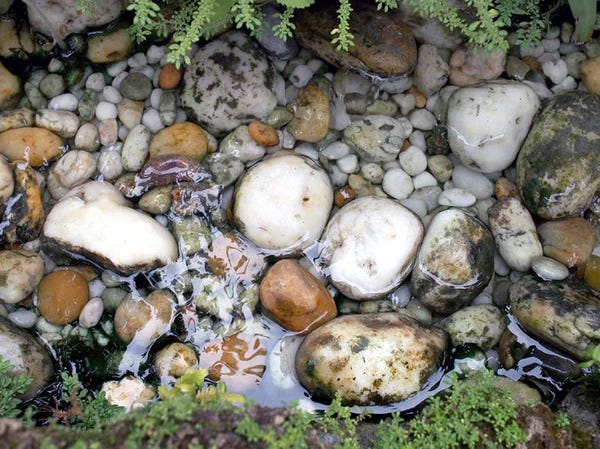 Backyard artificial stream