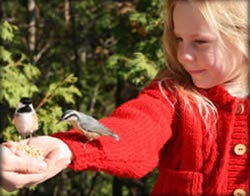 girl feeding birds