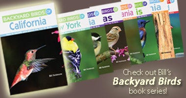 Bill Fenimore's Backyard Birds Book Series