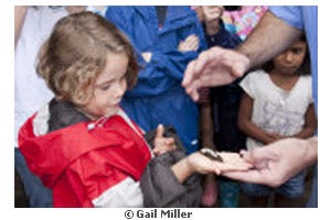 Larry Witherspoon banding hummingbirds