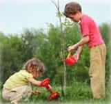 Kids Planting