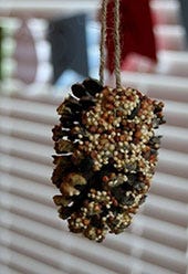 DIY Pine Cone Bird Feeders