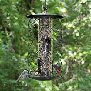 Squirrel Resistant Bird Feeder