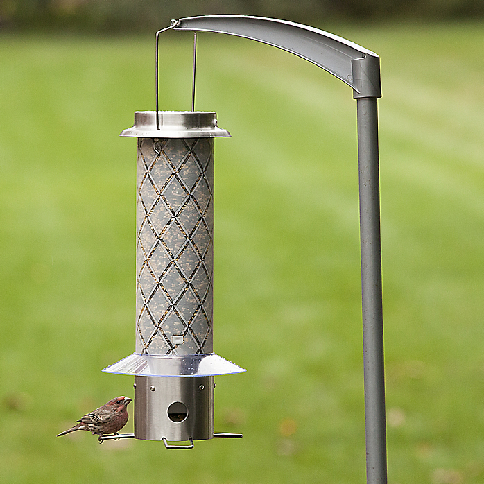 Frosted squirrel-be-gone bird feeder