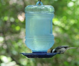 Bird waterers help attract birds to your yard.