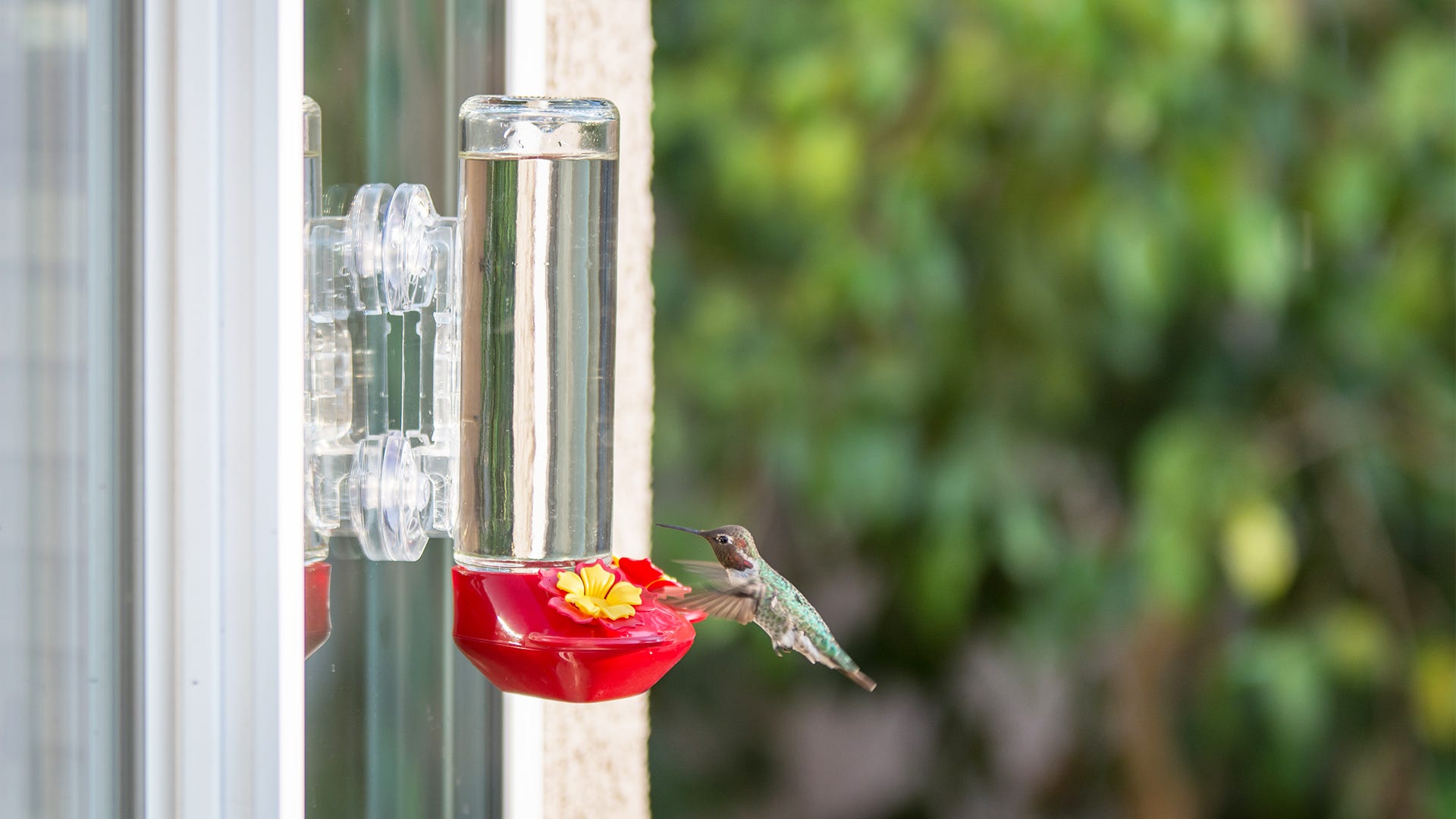 Clear Window Bird Feeders for Outdoors Hanging, Acrylic Window Mounted Bird  Feeder Suction Cups, Plastic See Through Bird Feeder for Inside Window