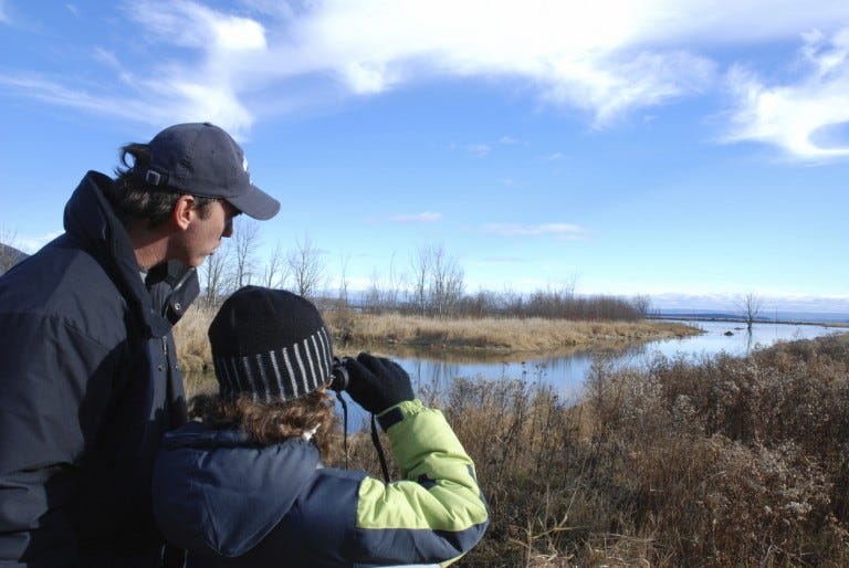 father and son bird watching