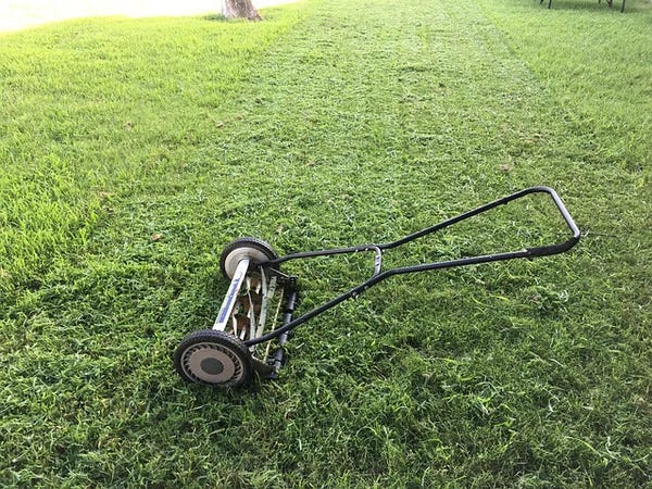 lawn mover