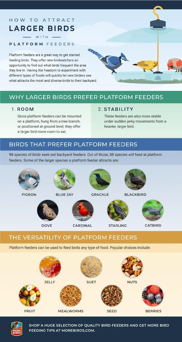 Attract Larger Birds with Platform Feeders