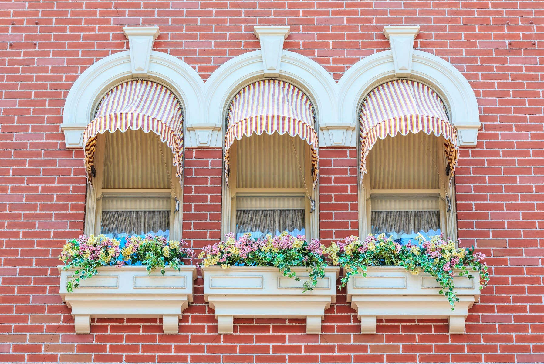 window awnings