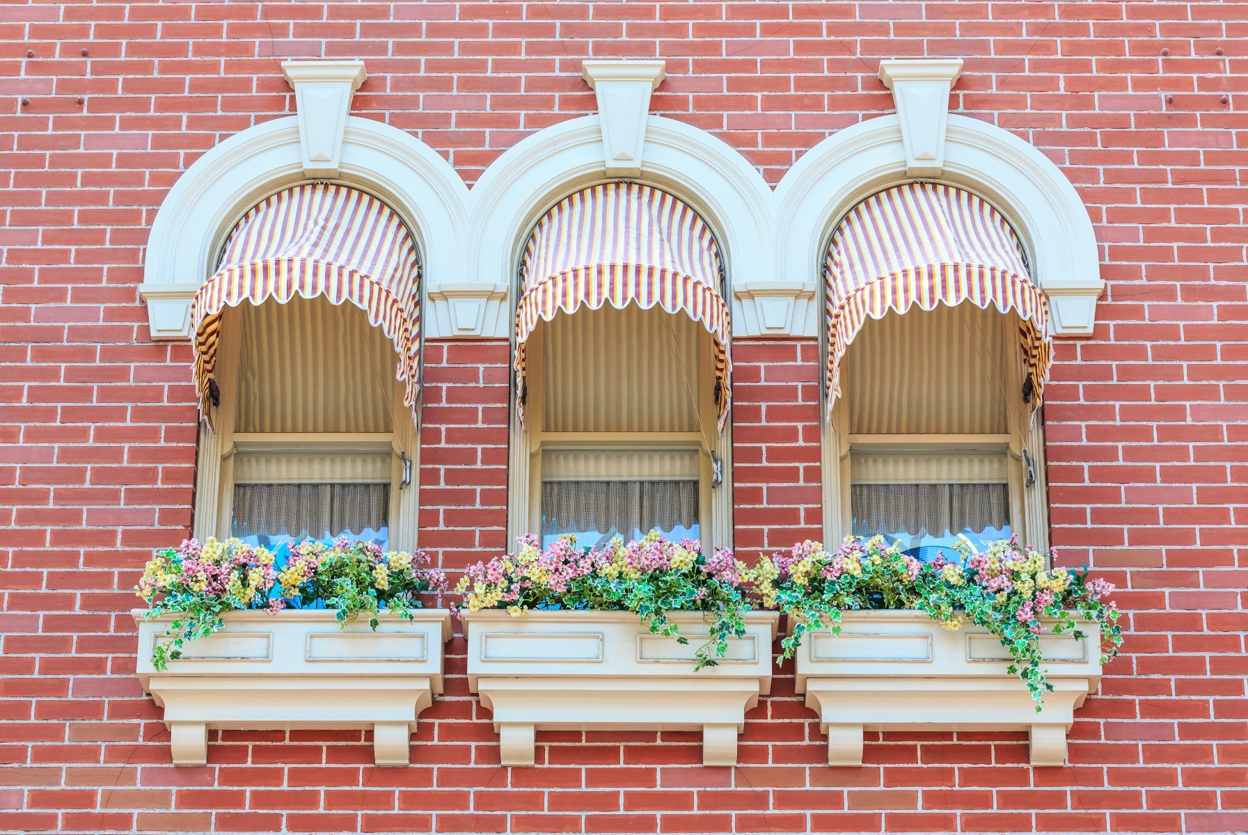 window awnings