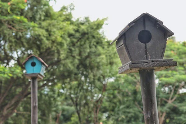 Bird houses