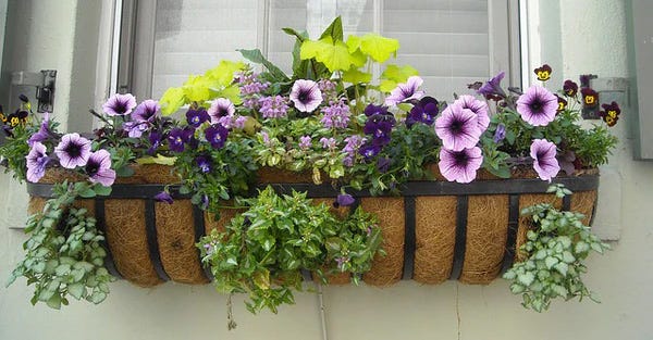 Window Flower Box