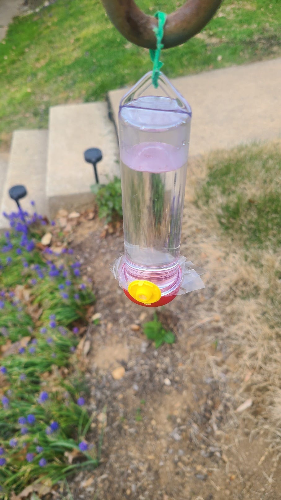 A real photo of  Perky-Pet® Planter Box Plastic Hummingbird Feeder with Hanger by Just me (1)