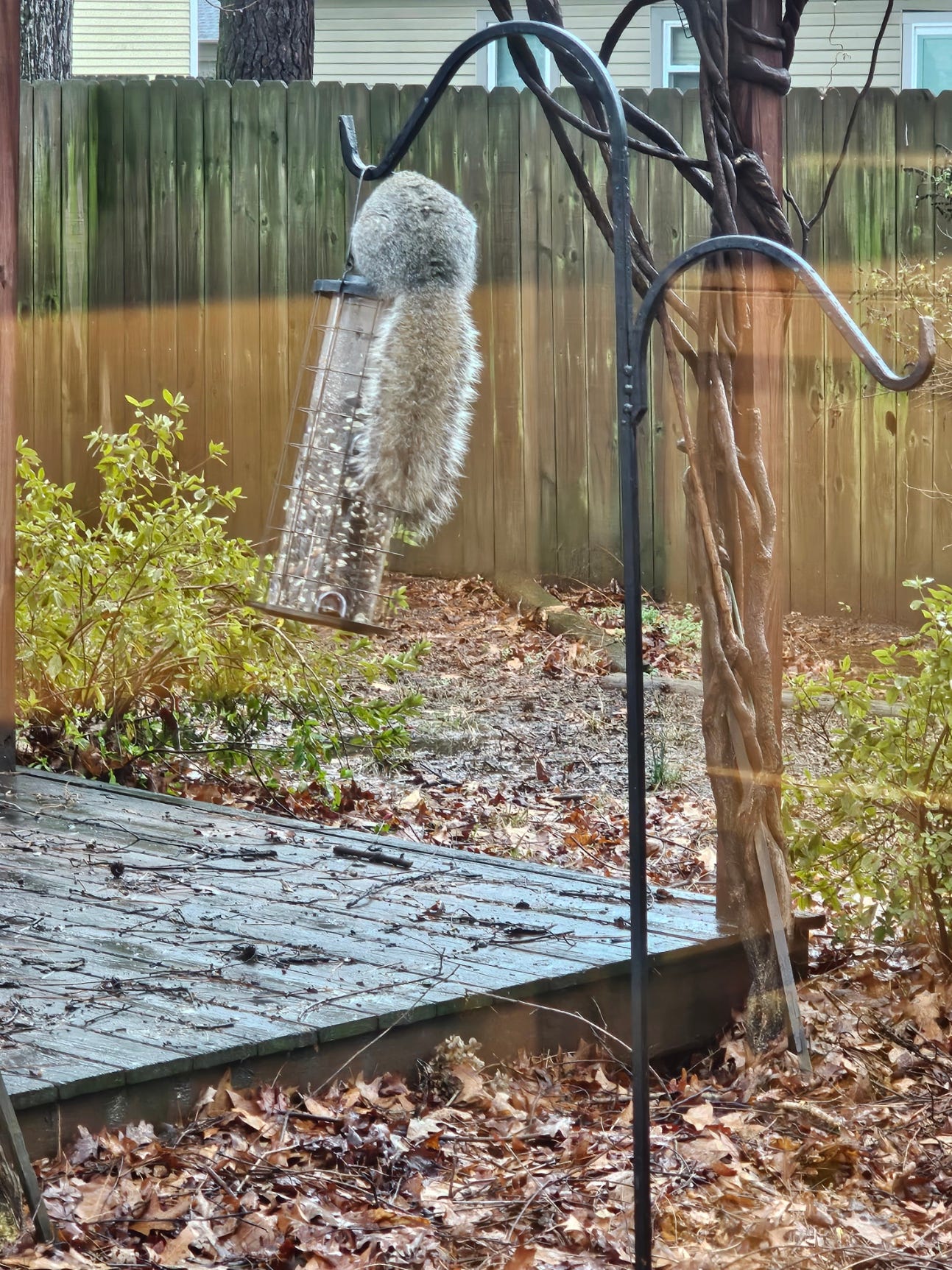 A real photo of  Perky-Pet® Brass Squirrel Stumper® Bird Feeder by Newport News Guy (1)