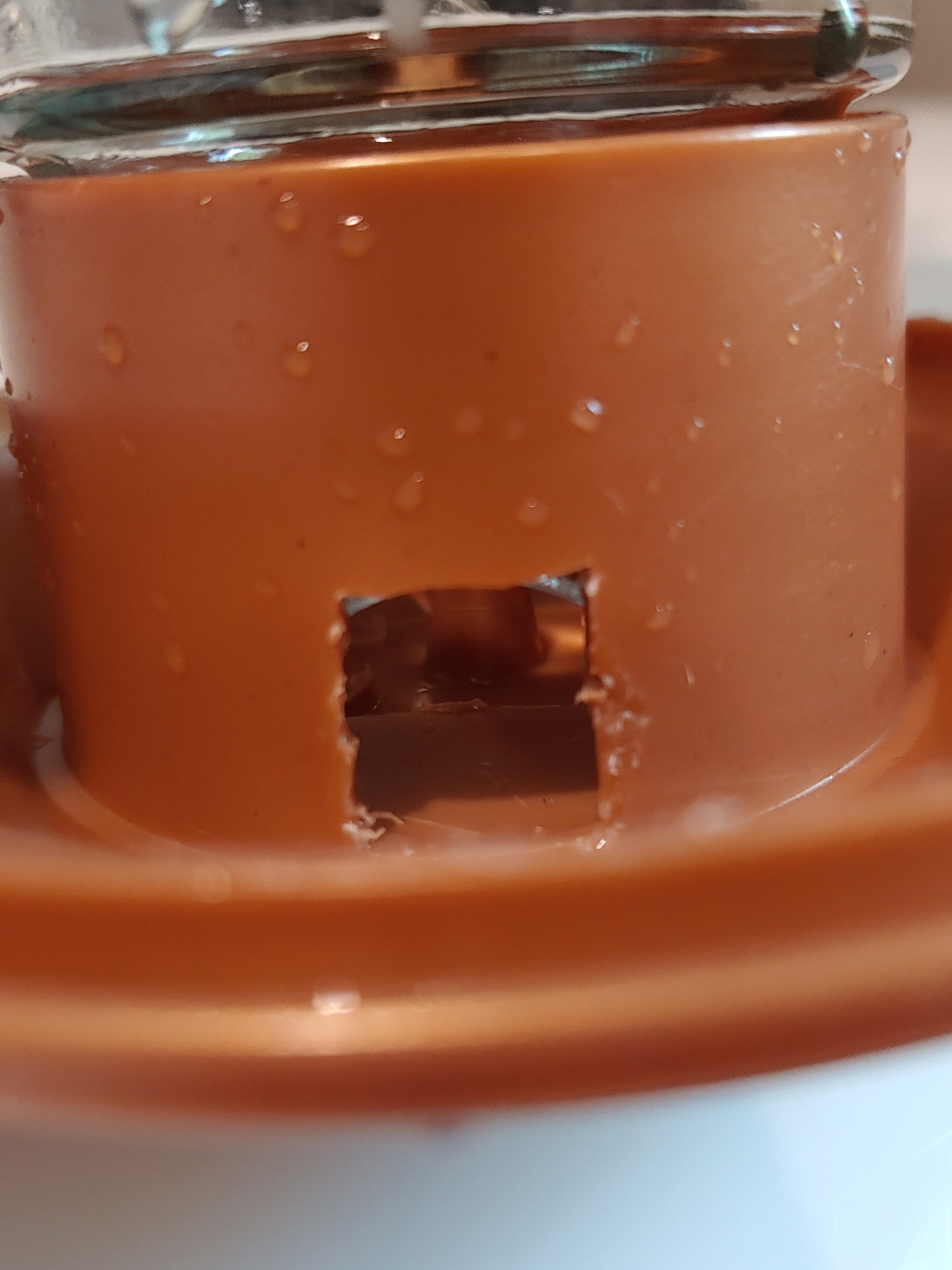 A real photo of  Perky-Pet® Elegant Copper Glass Hummingbird Feeder by Antonio (2)