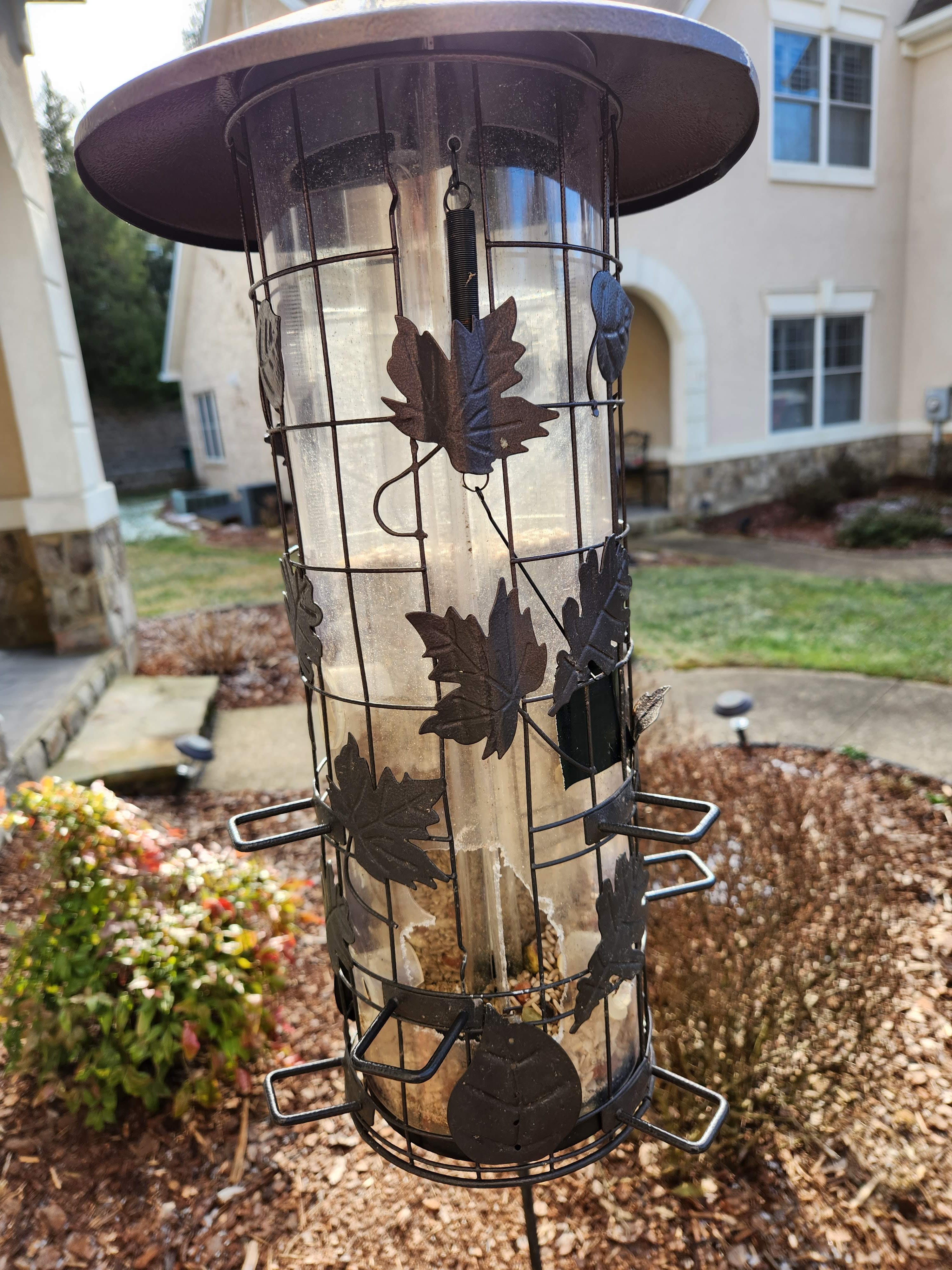 A real photo of  Perky-Pet® Squirrel-Be-Gone® III Wild Bird Feeder by myw (1)