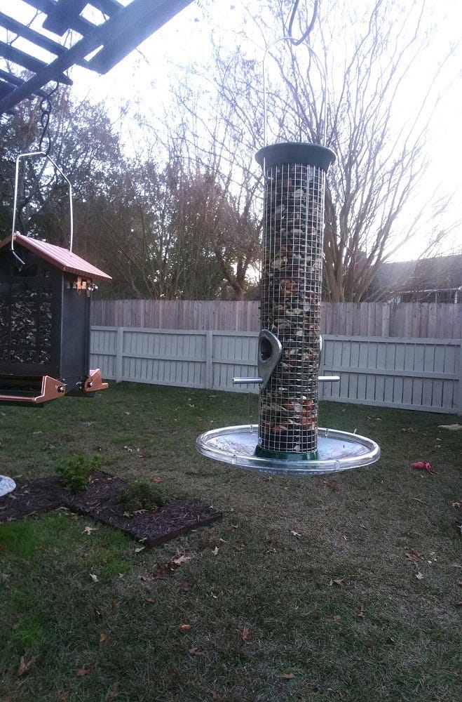 A real photo of Droll Yankees® New Generation® Peanut Bird Feeder, Green - 1 lb by Crazy Bird Lady  (2)