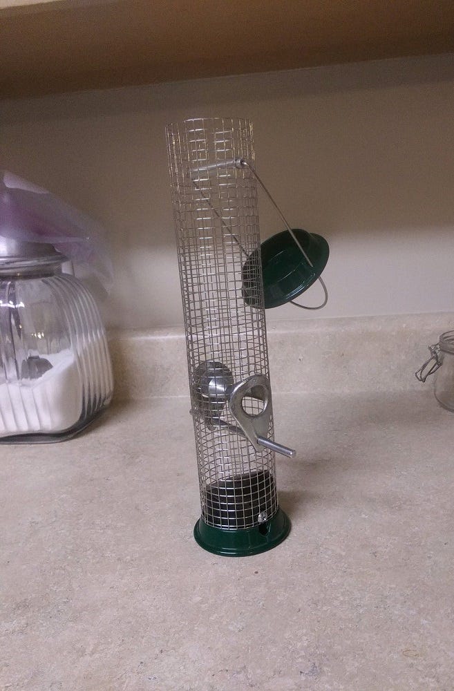 A real photo of Droll Yankees® New Generation® Peanut Bird Feeder, Green - 1 lb by Crazy Bird Lady  (1)
