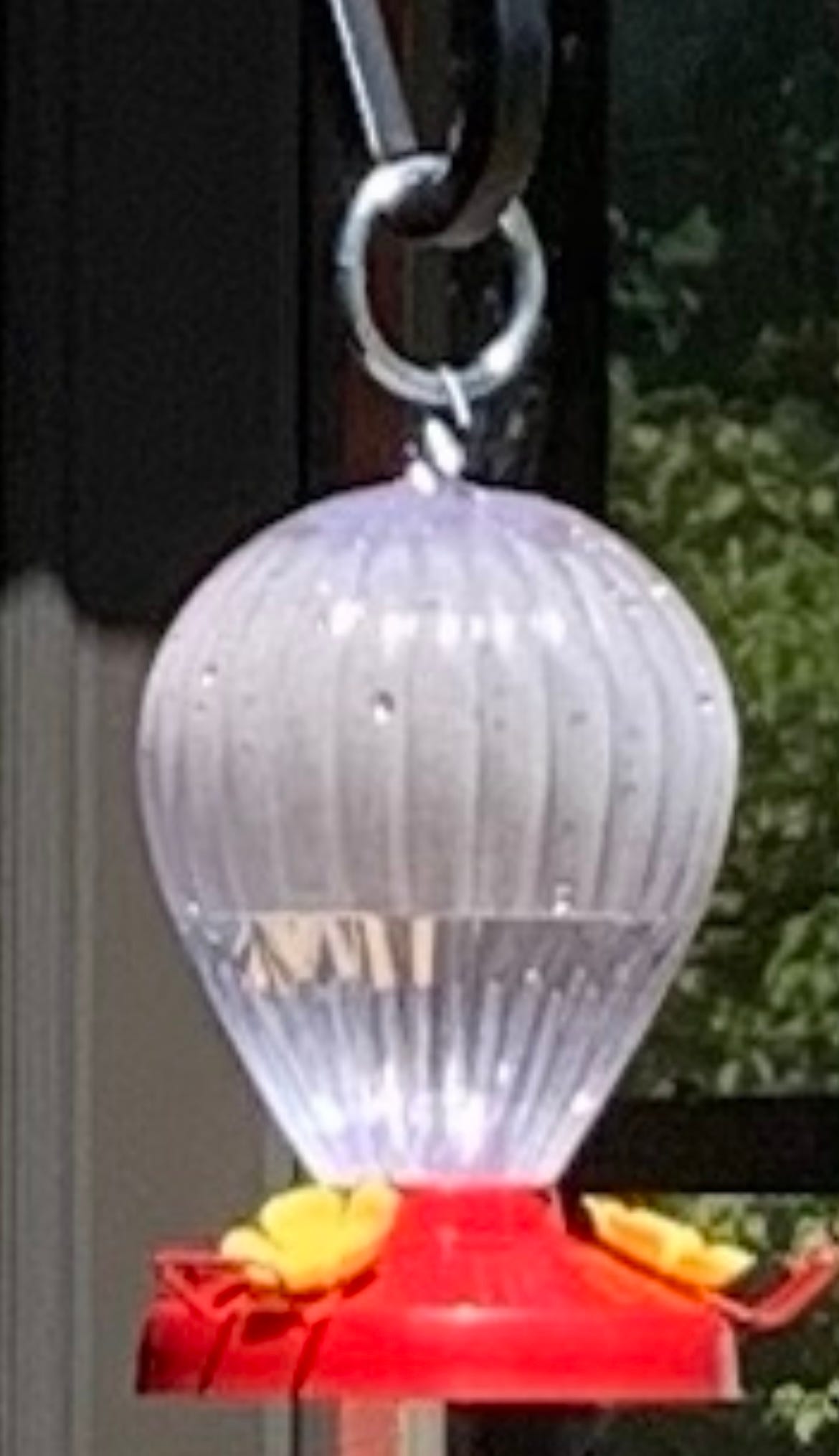 A real photo of  Perky-Pet® Fluted Balloon Plastic Hummingbird Feeder - 32 oz by Unicorn  (1)