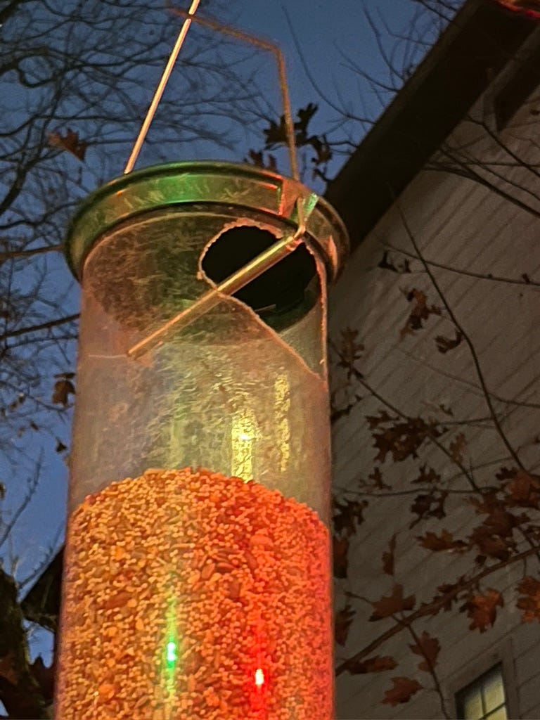 A real photo of Droll Yankees® Yankee Flipper® Squirrel-Proof Bird Feeder - 5 lb by Koko (1)