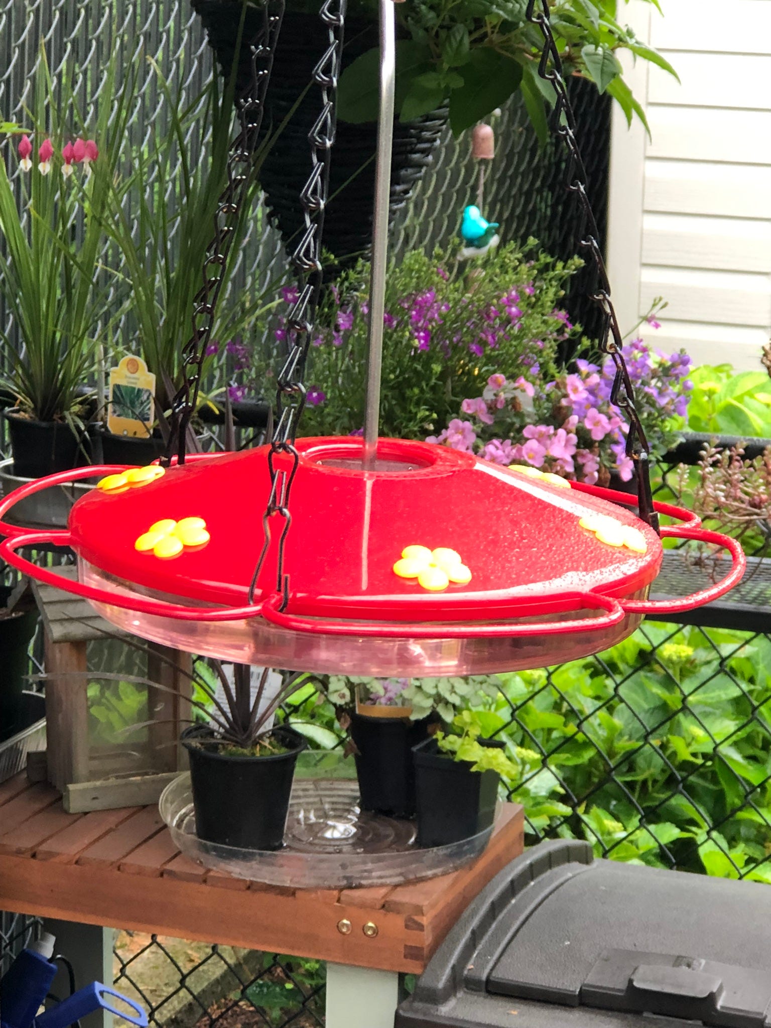 A real photo of Perky-Pet® Oasis Hummingbird Feeder by Hummer lover (1)