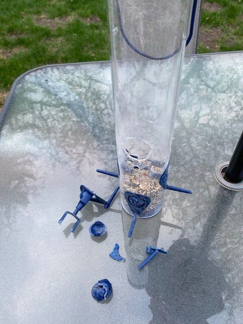 A real photo of  Perky-Pet® Navy 2-in-1 Tube Bird Feeder by Scott Ben (1)