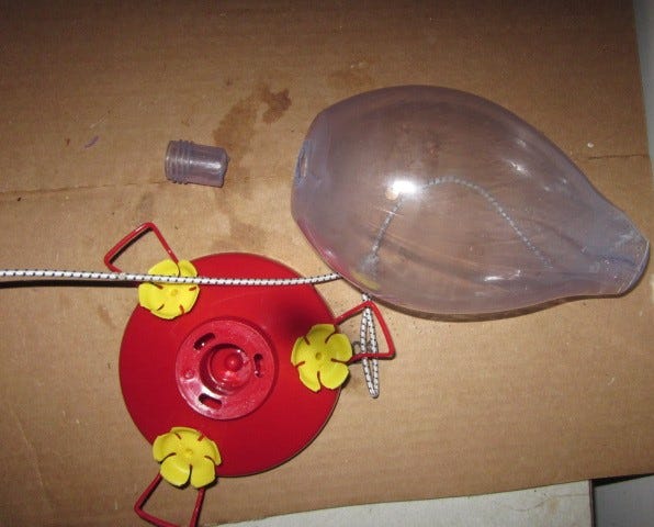 A real photo of  Perky-Pet® Rounded Vase Plastic Hummingbird Feeder - 33 oz by birder (1)