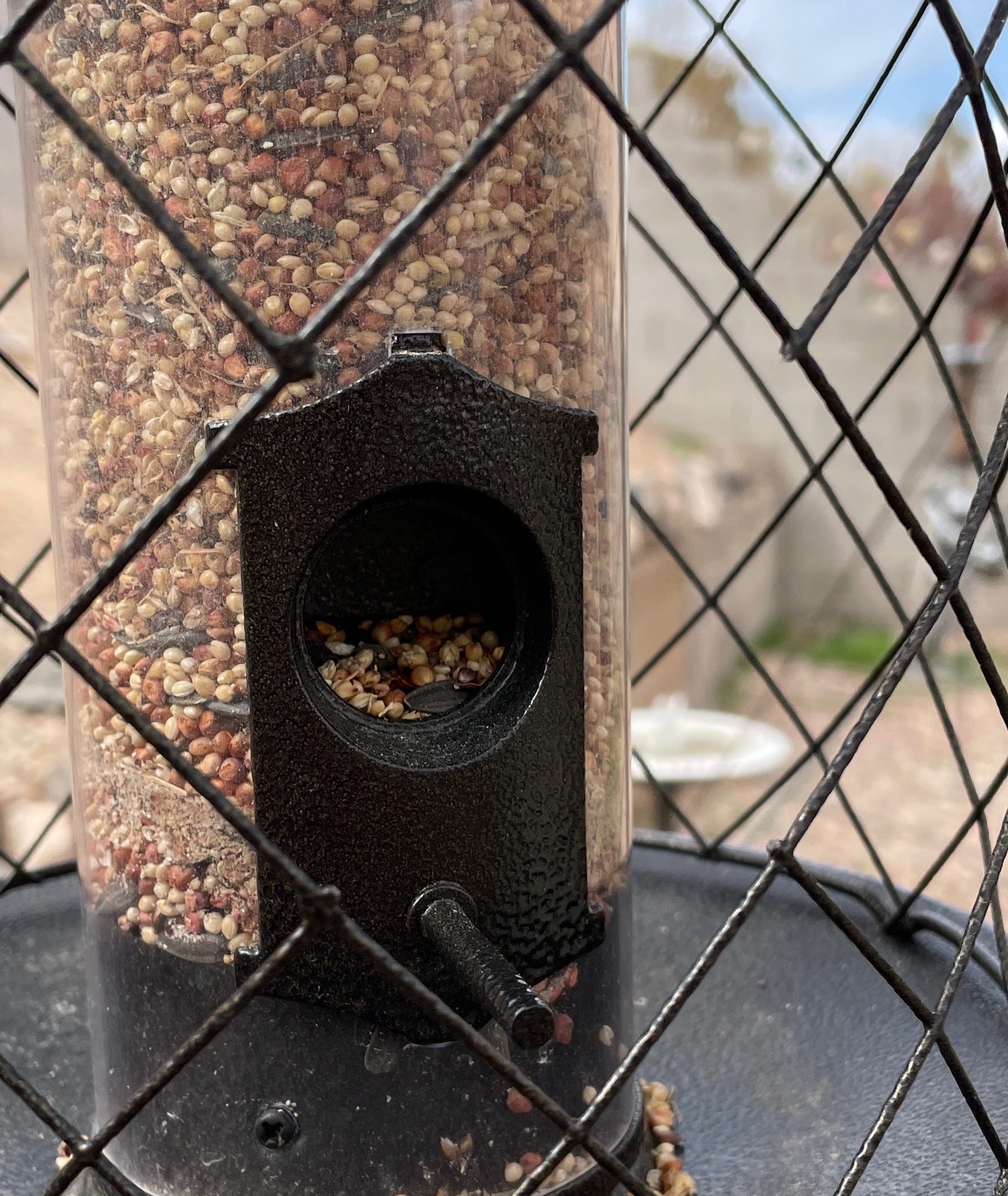 A real photo of  Perky-Pet® The Preserve Wild Bird Feeder by Mr Bill (1)